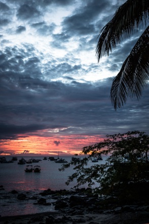 blog_bolpergal_20170511_180613 blog_bolpergal_20170511_180613