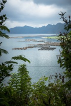 blog_indonesien_20150811_121058 blog_indonesien_20150811_121058