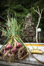 blog_indonesien_20150811_141050 blog_indonesien_20150811_141050