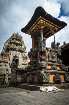 blog_indonesien_20150811_142257 blog_indonesien_20150811_142257