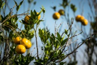 blog_indonesien_20150811_163317 blog_indonesien_20150811_163317