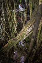 blog_indonesien_20150812_093942 blog_indonesien_20150812_093942