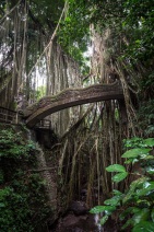 blog_indonesien_20150812_094423 blog_indonesien_20150812_094423