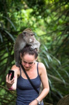 blog_indonesien_20150812_101840 blog_indonesien_20150812_101840