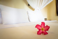 blog_indonesien_20150812_143445 blog_indonesien_20150812_143445