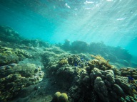 blog_indonesien_20150812_161023 blog_indonesien_20150812_161023