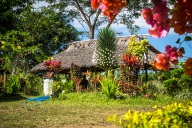 blog_indonesien_20150813_143330 blog_indonesien_20150813_143330