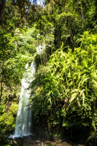 blog_indonesien_20150813_145948 blog_indonesien_20150813_145948