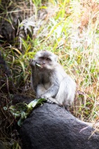 blog_indonesien_20150814_135614 blog_indonesien_20150814_135614