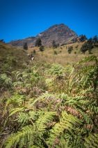 blog_indonesien_20150815_123305 blog_indonesien_20150815_123305