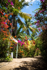 blog_indonesien_20150817_115322 blog_indonesien_20150817_115322