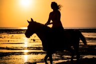 blog_indonesien_20150818_175224 blog_indonesien_20150818_175224