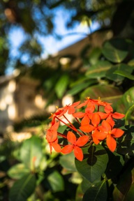 blog_kuba_20160326_181009 blog_kuba_20160326_181009