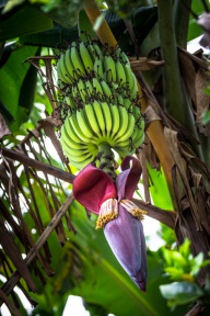 blog_kuba_20160327_083909 blog_kuba_20160327_083909