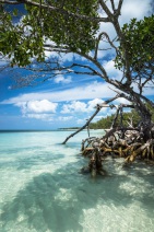 blog_kuba_20160327_160212 blog_kuba_20160327_160212