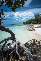 blog_kuba_20160327_160827 blog_kuba_20160327_160827