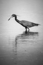 blog_kuba_20160327_173911 blog_kuba_20160327_173911