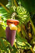 blog_kuba_20160328_095604 blog_kuba_20160328_095604