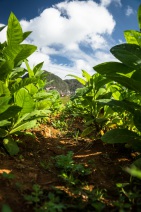 blog_kuba_20160328_102413 blog_kuba_20160328_102413