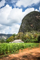 blog_kuba_20160328_111555 blog_kuba_20160328_111555