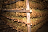 blog_kuba_20160328_103619 blog_kuba_20160328_103619