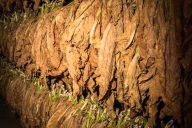 blog_kuba_20160328_103851 blog_kuba_20160328_103851