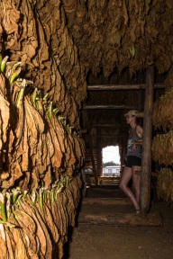 blog_kuba_20160328_103959 blog_kuba_20160328_103959