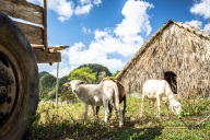 blog_kuba_20160328_104737 blog_kuba_20160328_104737