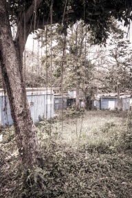 blog_kuba_20160328_160434 blog_kuba_20160328_160434