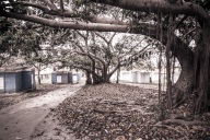 blog_kuba_20160328_160646 blog_kuba_20160328_160646