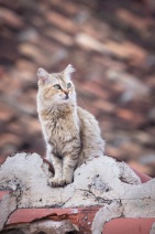 blog_kuba_20160329_192119 blog_kuba_20160329_192119