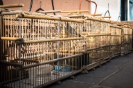 blog_kuba_20160330_082650 blog_kuba_20160330_082650