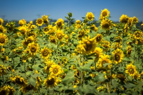 blog_kuba_20160331_110642 blog_kuba_20160331_110642