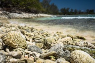 blog_kuba_20160331_132408 blog_kuba_20160331_132408