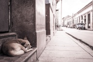 blog_kuba_20160401_123047 blog_kuba_20160401_123047