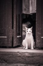 blog_kuba_20160403_170637 blog_kuba_20160403_170637