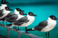 blog_kuba_20160404_142243 blog_kuba_20160404_142243