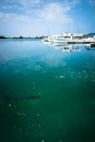 blog_kuba_20160405_090910 blog_kuba_20160405_090910