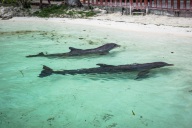 blog_kuba_20160405_094707 blog_kuba_20160405_094707