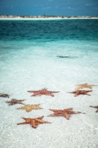 blog_kuba_20160405_110426 blog_kuba_20160405_110426