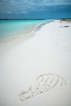 blog_kuba_20160405_123628 blog_kuba_20160405_123628