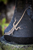 blog_kuba_20160406_153418 blog_kuba_20160406_153418