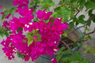 blog_malediven_20131103_110015 blog_malediven_20131103_110015