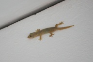 blog_malediven_20131103_163737 blog_malediven_20131103_163737