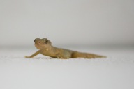 blog_malediven_20131103_164331 blog_malediven_20131103_164331