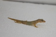 blog_malediven_20131103_165101 blog_malediven_20131103_165101