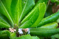 blog_malediven_20131103_172732 blog_malediven_20131103_172732