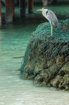 blog_malediven_20131104_110441 blog_malediven_20131104_110441