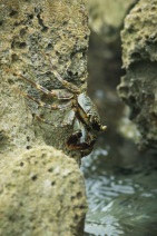 blog_malediven_20131104_111739 blog_malediven_20131104_111739