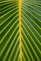 blog_malediven_20131104_113929 blog_malediven_20131104_113929